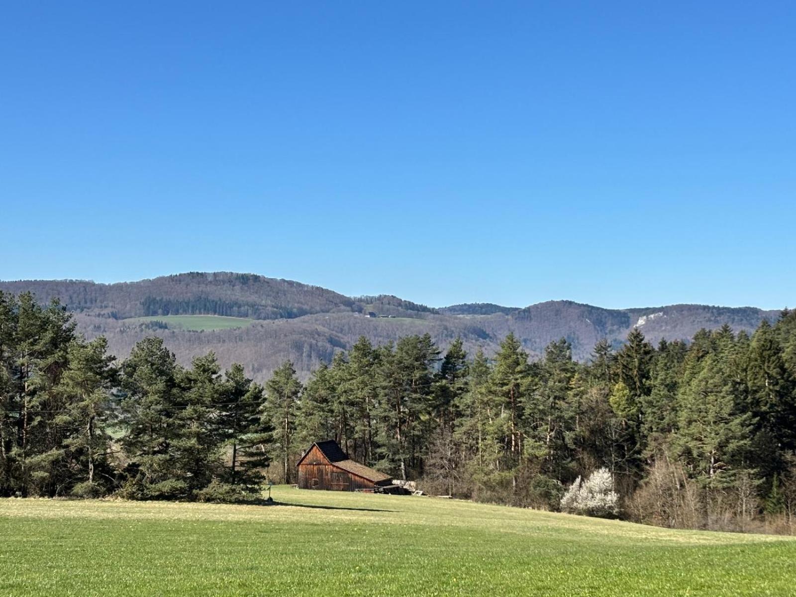 Atemberaubender Ausblick Mit Premium-Wanderwegen Vor Der Haustuer Apartman Albstadt Kültér fotó